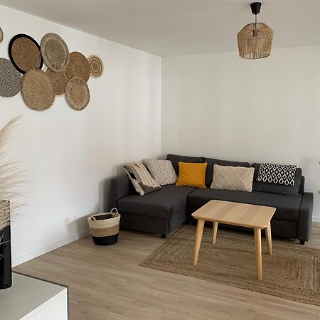 Les Rives Du Chateau, 90M2, Vue Sur Le Canal Saverne Kültér fotó