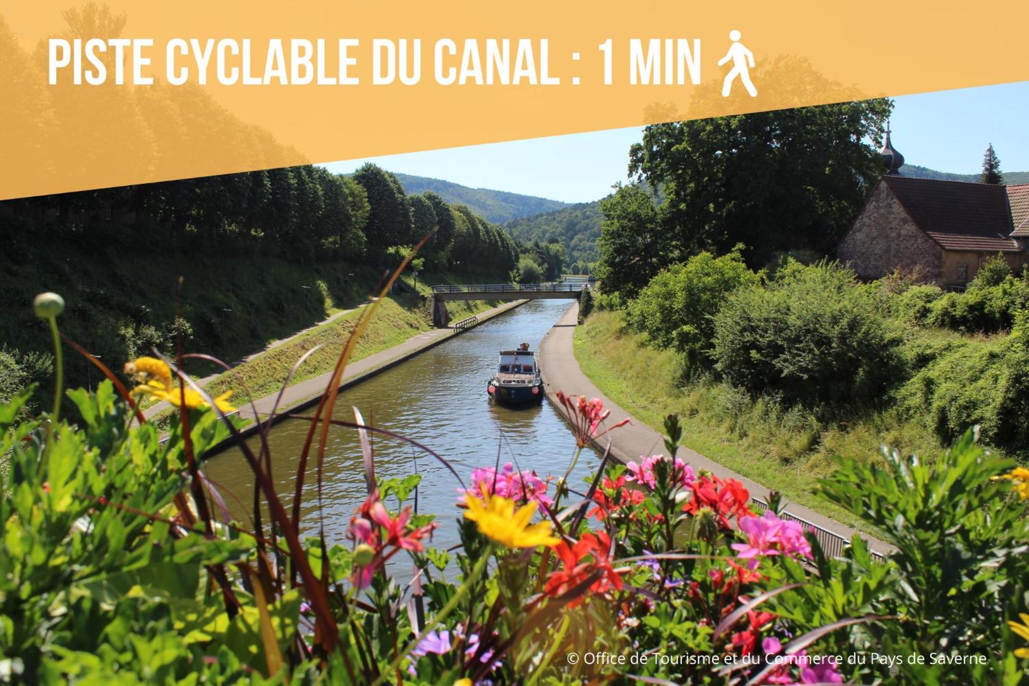 Les Rives Du Chateau, 90M2, Vue Sur Le Canal Saverne Kültér fotó